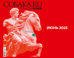 Собака.ru - News update