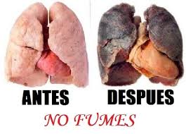 Resultado de imagen para consecuencias con las drogas