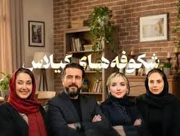 یک سریال دیگر از هدیه تهرانی جلوی دوربین رفت