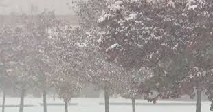 Winter Weather Advisory