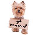 Pet Insurance Australia - Compare Pet Insurance Quotes - Choosi ... via Relatably.com