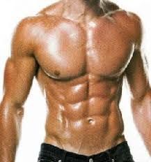 Image result for muscl