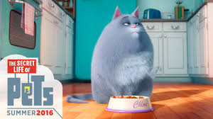 The Secret Life of Pets के लिए चित्र परिणाम