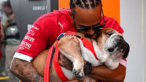 Dolor en la F1: Lewis Hamilton se Despide de su Amado Perro Roscoe - Imagen principal del artículo