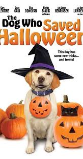 Image result for dogs, huskys, dicks cartoons
