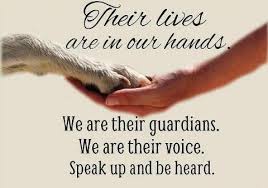 quotes | BaggyBulldogs via Relatably.com