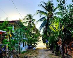 Imagem de Ilha de Algodoal Maracanã Pará paisagem praia rústica