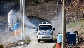 아프리카 아이콘