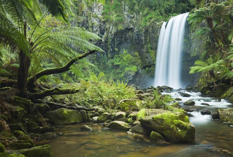 Great Otway National Park