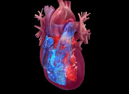 The Future of Cardiovascular Disease Prevention and Care: Anticipating the Next Century - 1