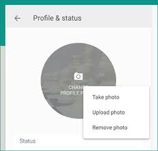 Image result for whatsapp profile photos