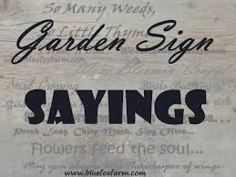 Garden Sign Sayings - funny quotes, whimsical sayings via Relatably.com