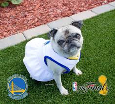 News source: Dub Nation HQ