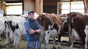 News source: Franceinfo