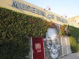 Image result for weird museum buildings