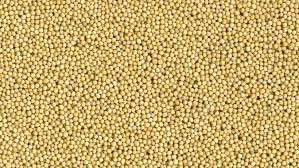 Image result for mustard seed white