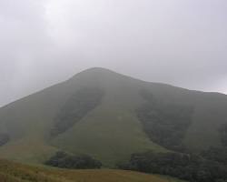 Image of Brahmagiri, Karnataka