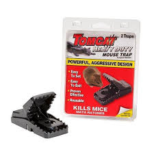 Image result for mouse traps best