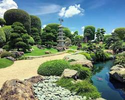 Hình ảnh về Cầu gỗ trong thiết kế cảnh quan sân vườn Nhật Bản