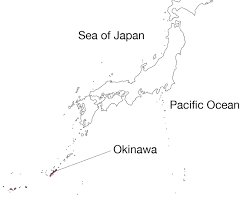 Okinawa Soba bowl and island mapの画像