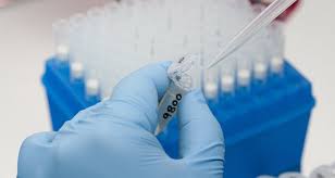 Image result for Success in Mice Shows Zika Vaccine 'Feasible'