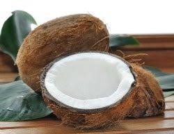 Image result for free images of coconuts and oil