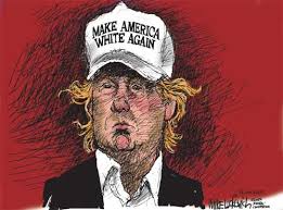 Image result for trump make america white again hats