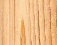 Hình ảnh về Gỗ thông Radiata ở New Zealand