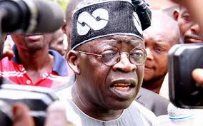 Image result for tinubu