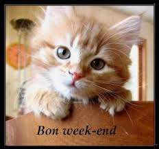 Résultat de recherche d'images pour "bon weekend animaux"