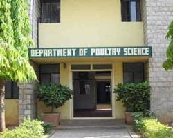Image of Veterinary Hospitals at Karnataka Veterinary, Animal and Fisheries Sciences University