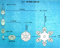 氷の結晶の成長の画像