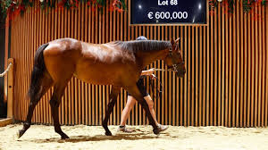 Racing Post - News update