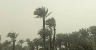 اليوم السابع - News update