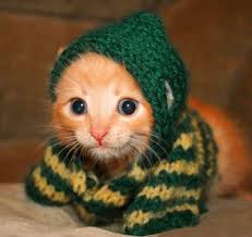 images?qtbnANd9GcRNPBVhKsQlsuemhGJvSYZmLGU2gACN77iAw5x1ZYtl3LfTDwKr5w