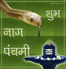 Image result for nag panchami photo gallery