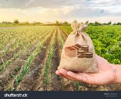 Farmer holds a money bag on the background of plantations