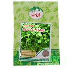 Image result for RAU MẦM CẢI XANH