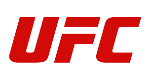 Looking At UFC 330