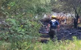 Incendio en un baldío en Los Mochis provoca movilización y alarma entre vecinos