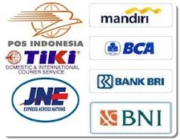 Image result for jne pos