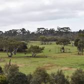 Werribee Open Range Zoo