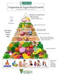 What is a vegetarian diet