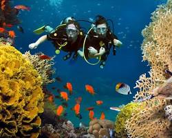 Gambar Snorkeling and diving in Maldives