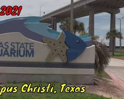 Image of BehindtheScenes Tours at the Texas State Aquarium