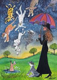 Image result for raining cats and dogs