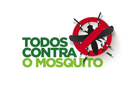 Resultado de imagem para mosquito aedes aegypti vetor