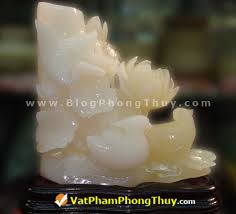 Kết quả hình ảnh cho Chim Hac images