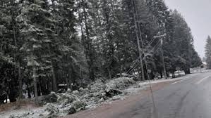 Trump approves major disaster declaration for 10 Idaho counties after Dec. windstorm