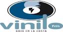 Resultado de imagen de Vinilo FM